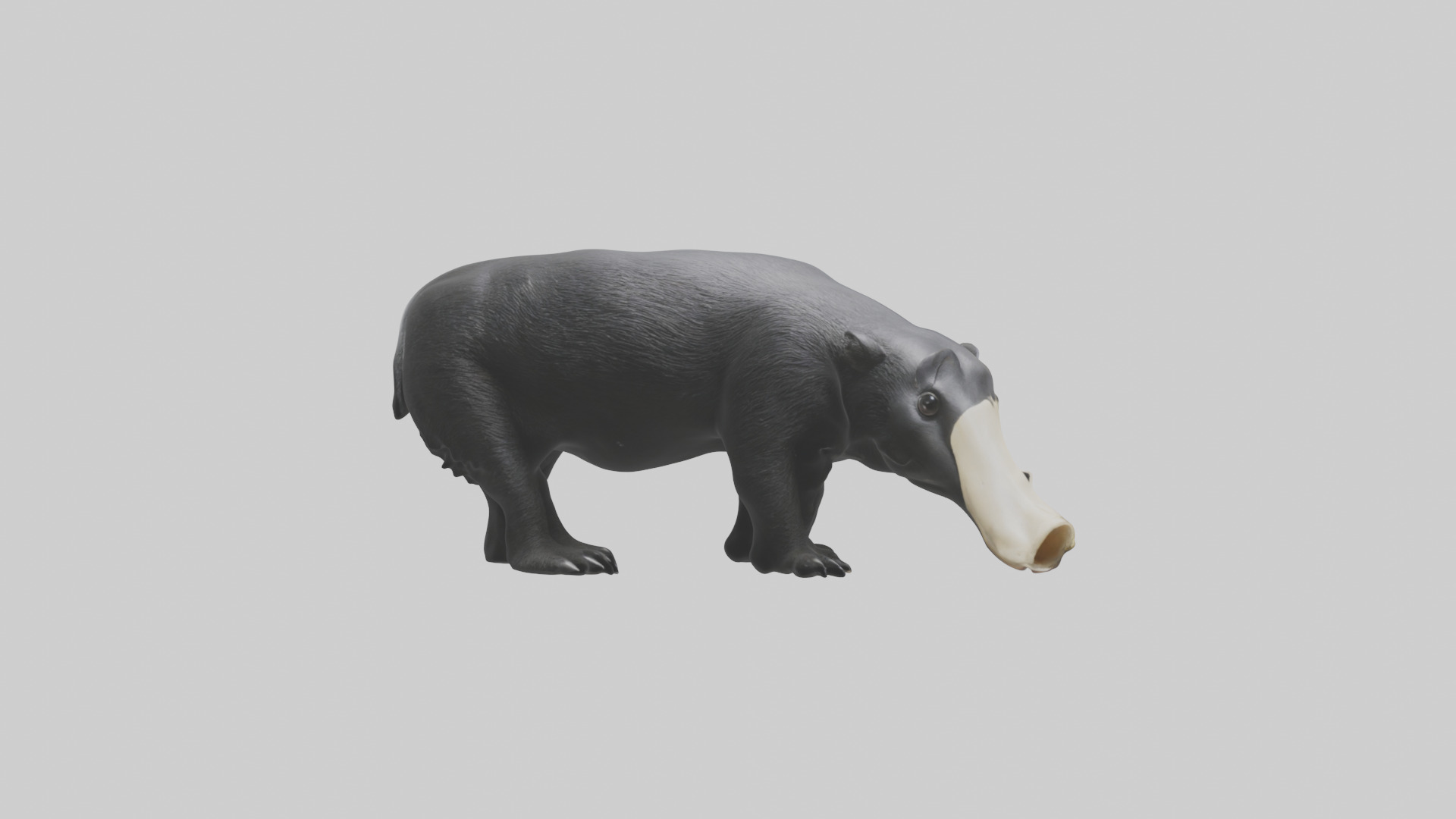 Giant Anteater sniffing ground model Low-poly 3D model_9