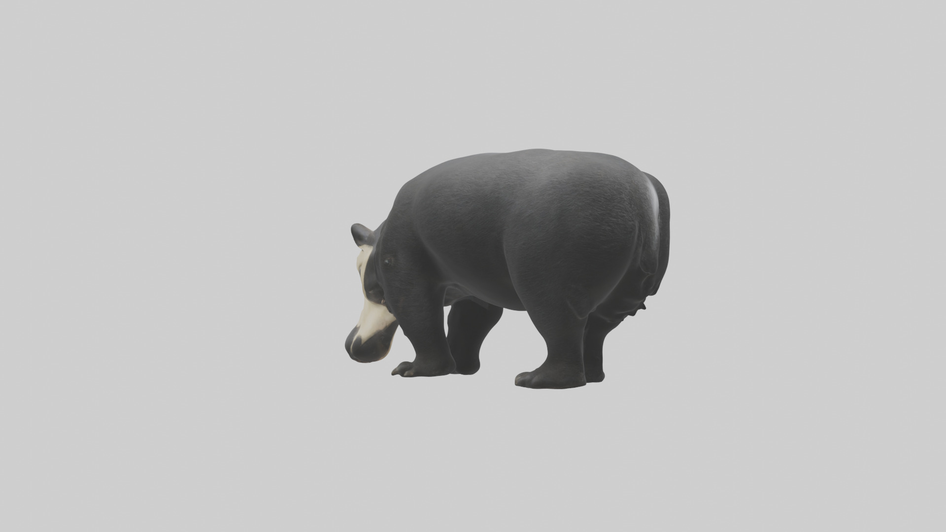 Giant Anteater sniffing ground model Low-poly 3D model_2