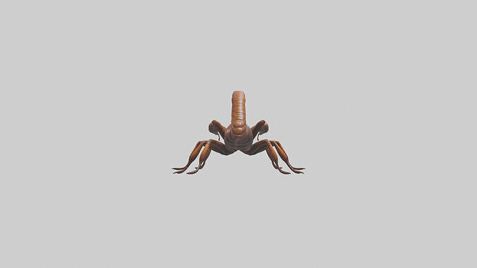 Giant Centipede model Low-poly 3D model