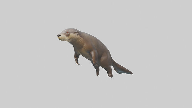 Giant Otter swimming model Low-poly 3D model