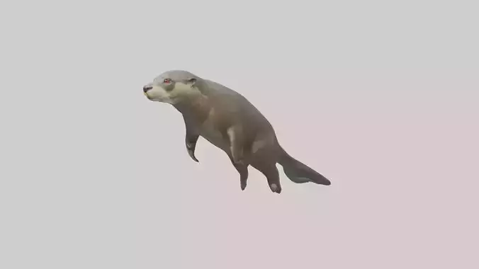 Giant Otter swimming model