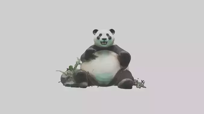 Giant Panda playing model