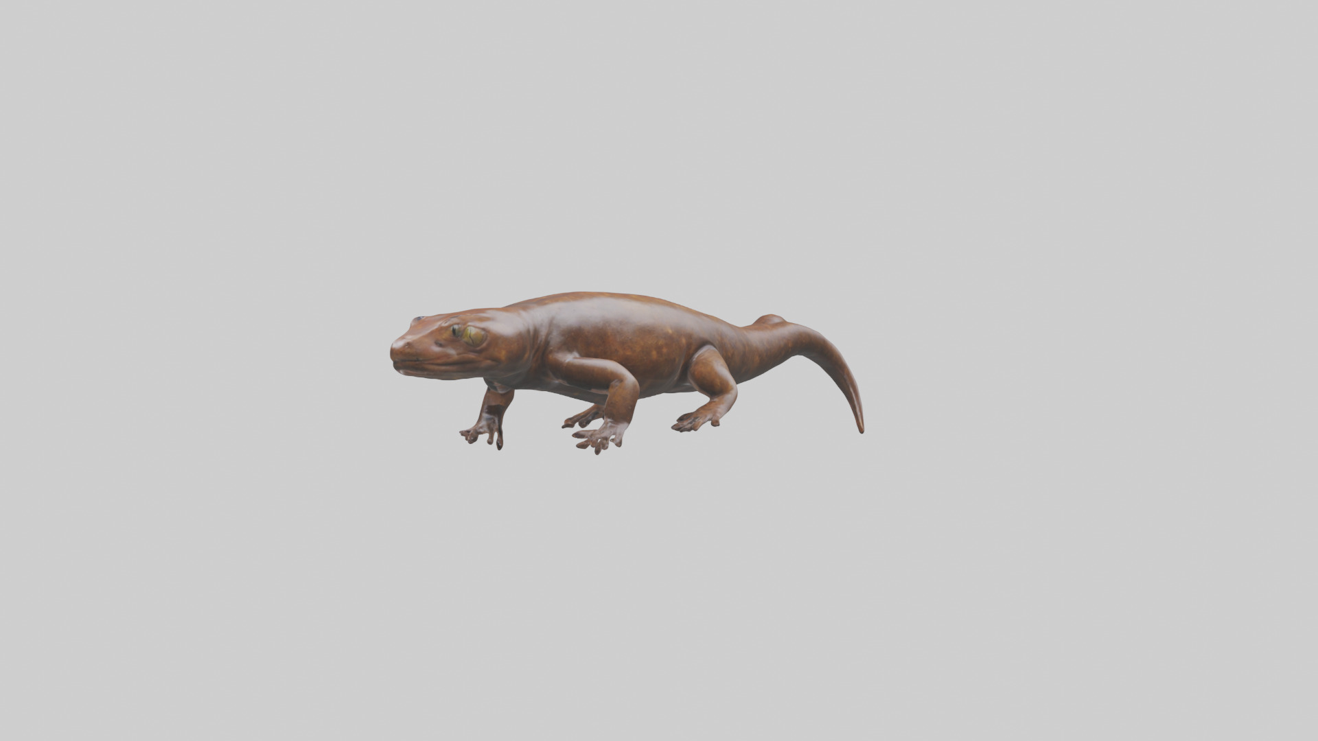 Giant Salamander swimming model Low-poly 3D model_3