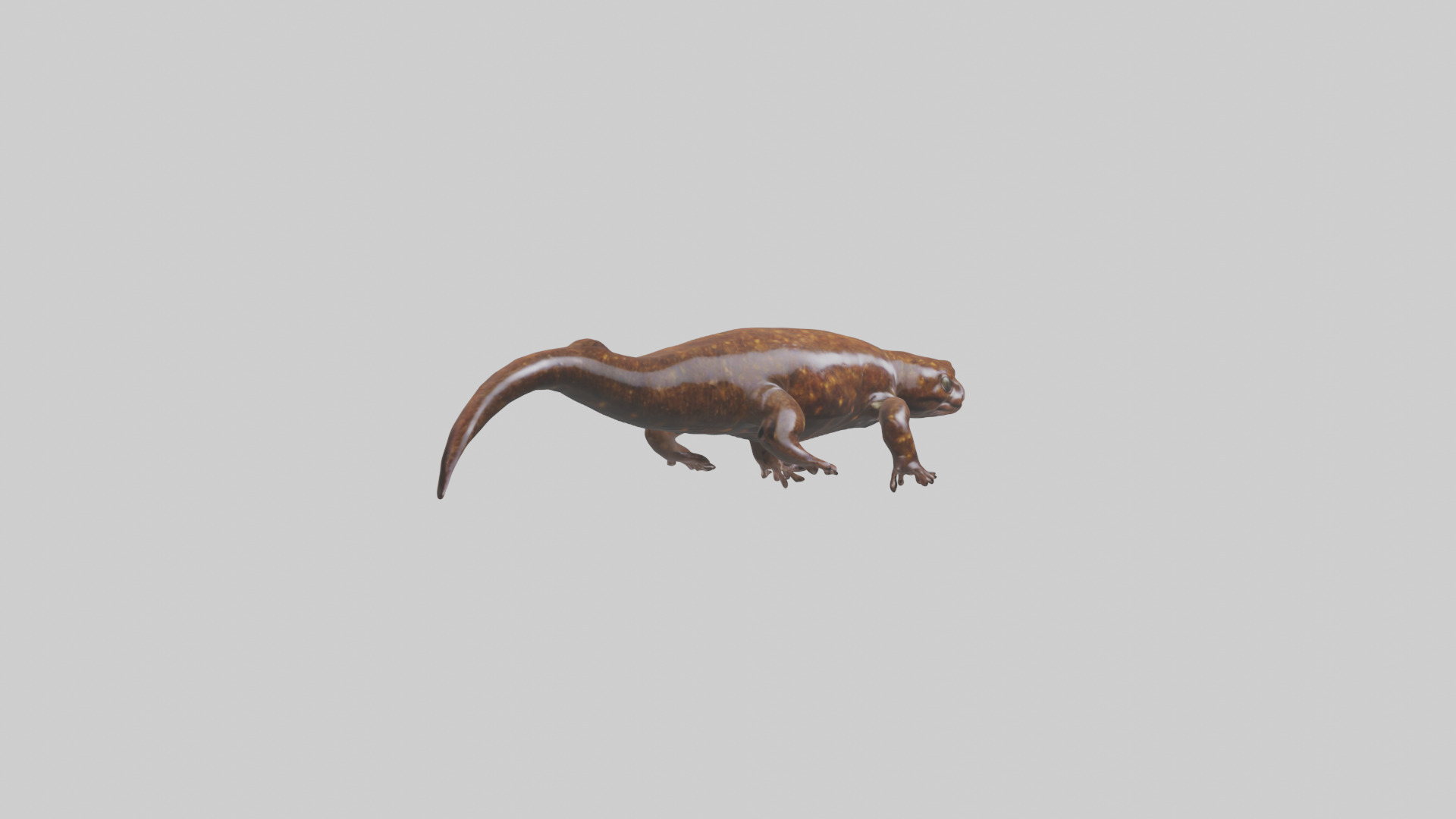 Giant Salamander swimming model Low-poly 3D model_9