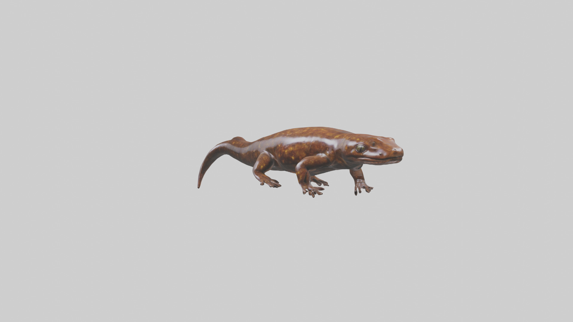 Giant Salamander swimming model Low-poly 3D model_10