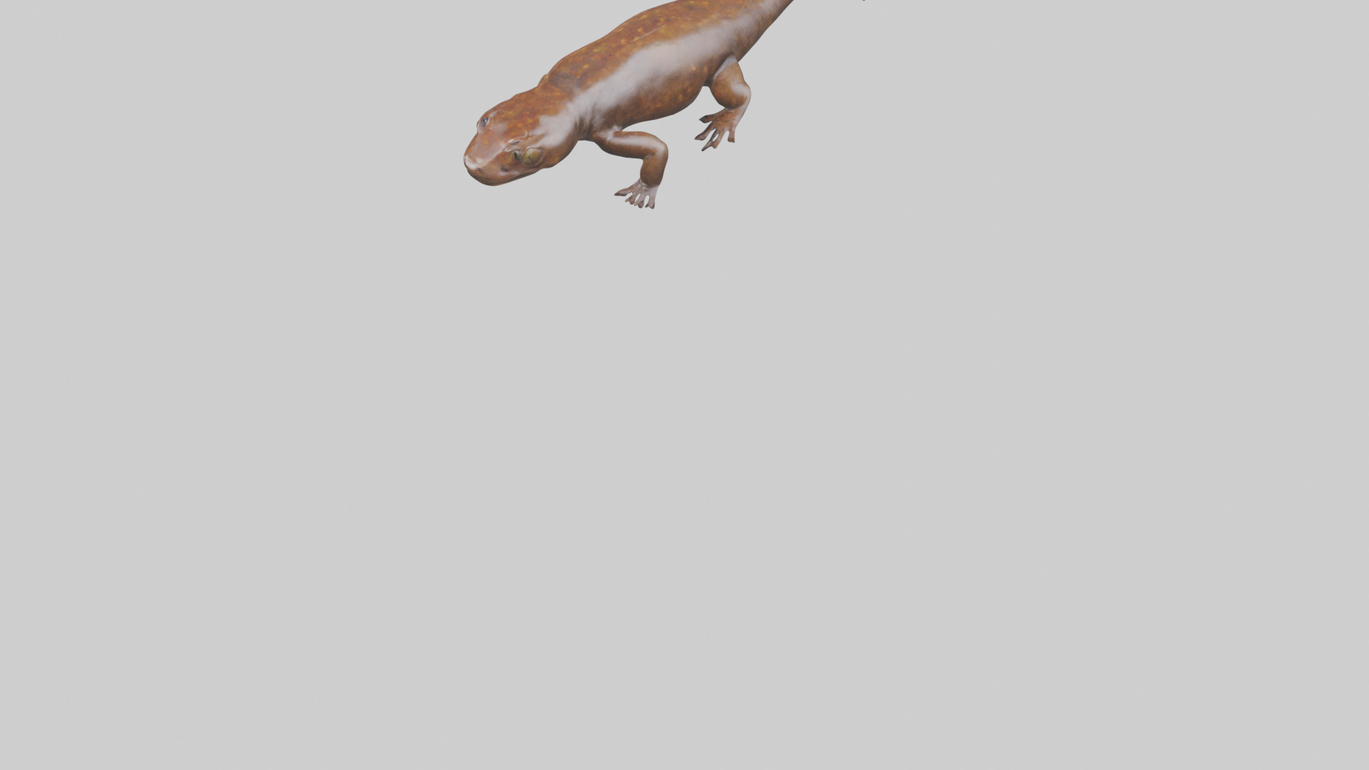 Giant Salamander swimming model Low-poly 3D model_5