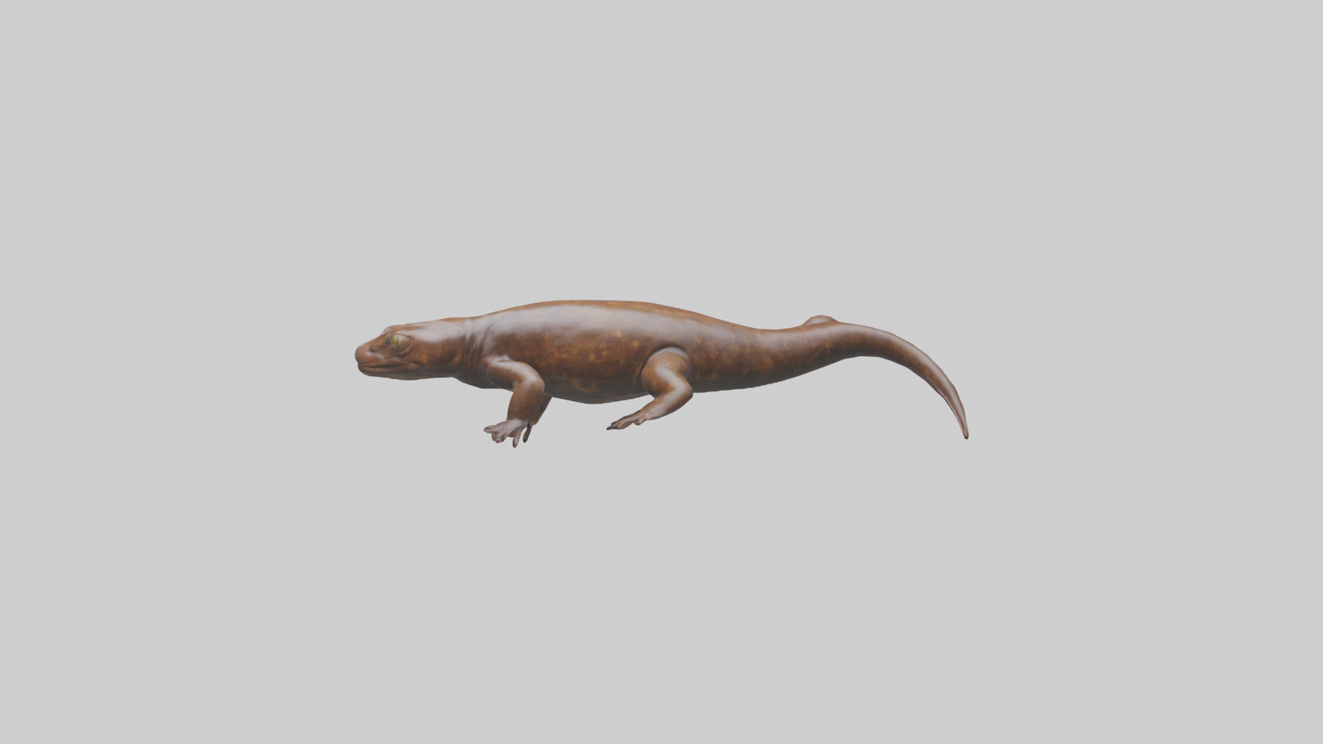 Giant Salamander swimming model Low-poly 3D model_2
