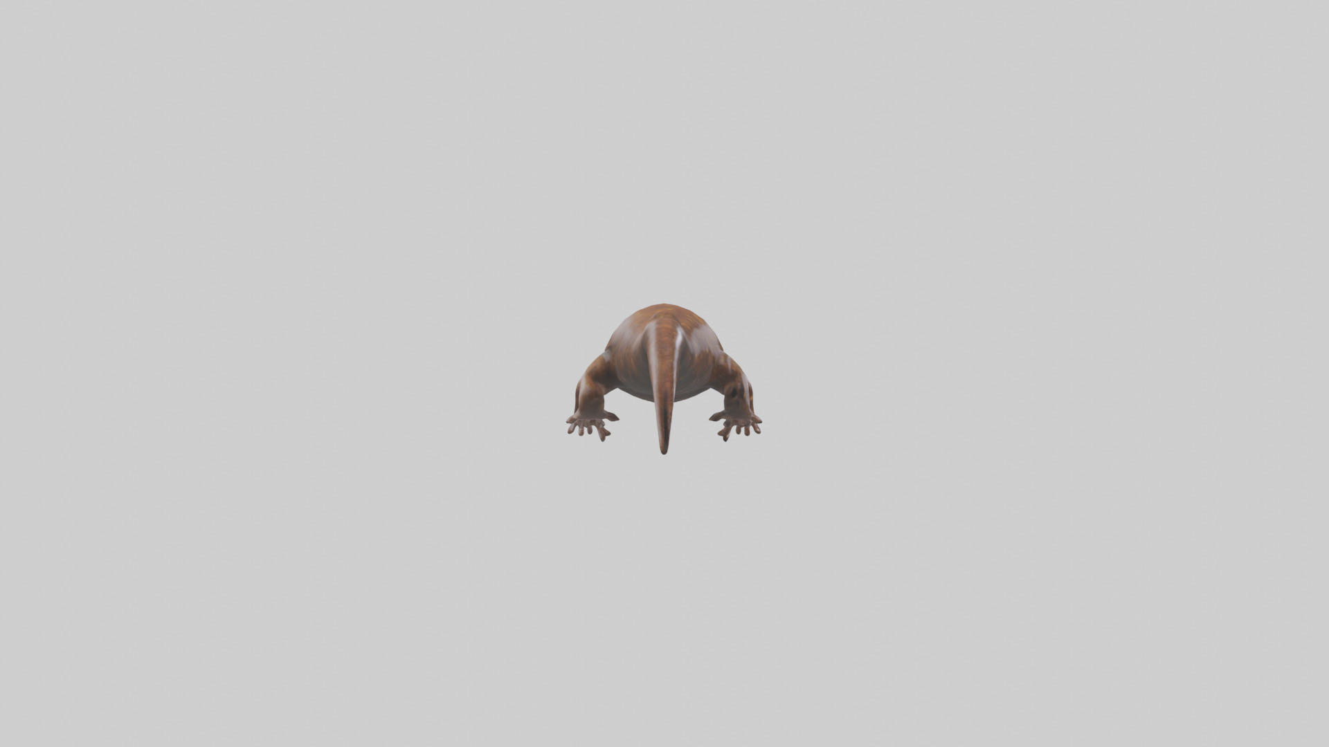 Giant Salamander swimming model Low-poly 3D model_13
