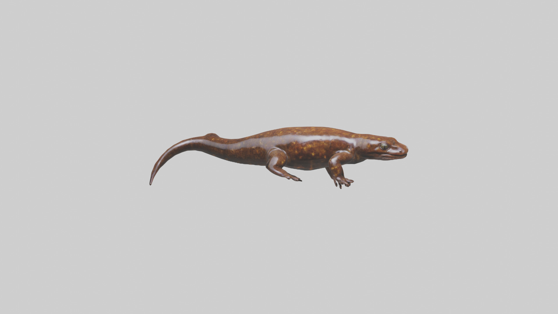 Giant Salamander swimming model Low-poly 3D model_1