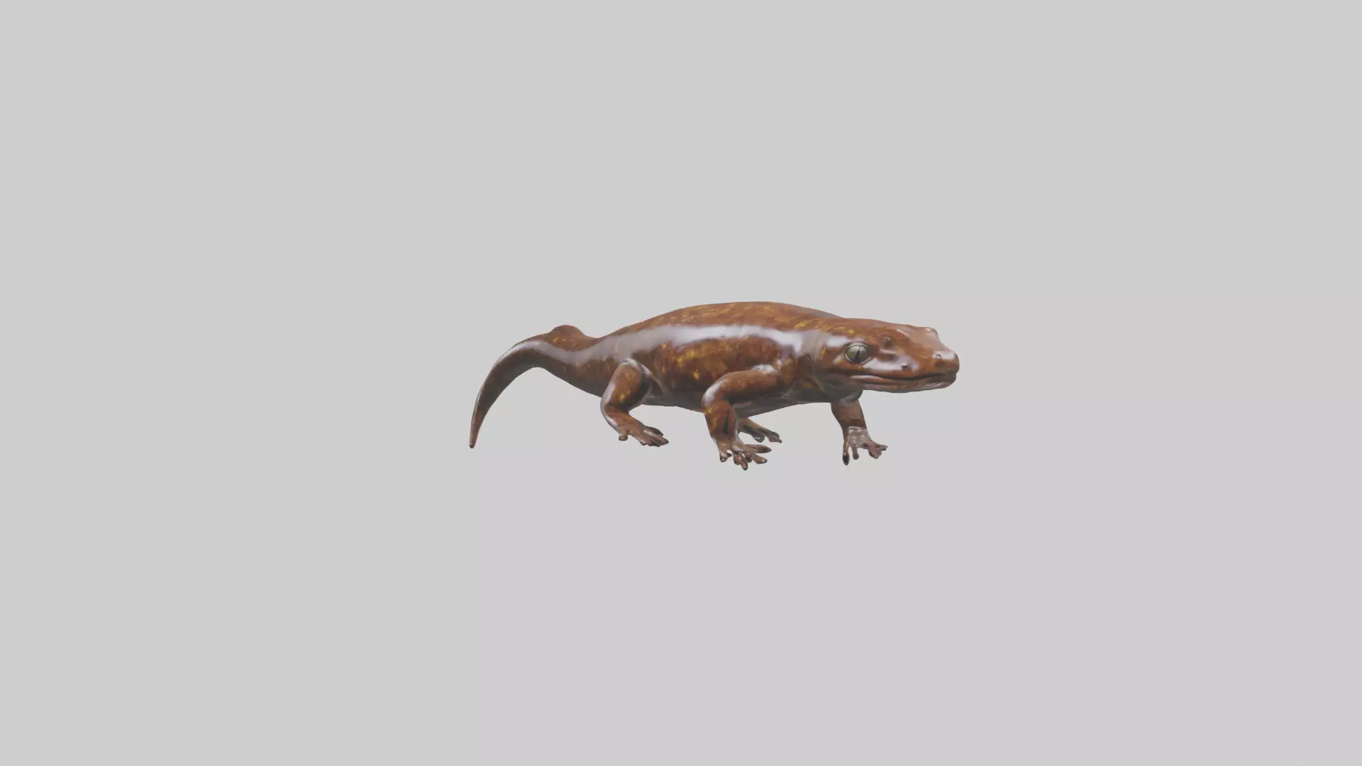 Giant Salamander swimming model Low-poly 3D model_0