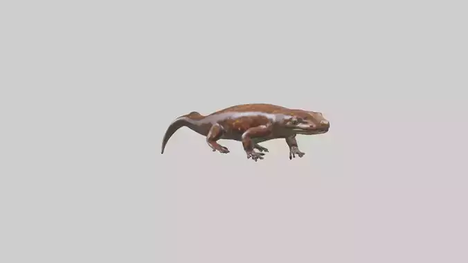 Giant Salamander swimming model Low-poly 3D model