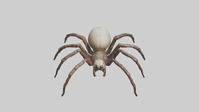 Giant Spider model Low-poly 3D model