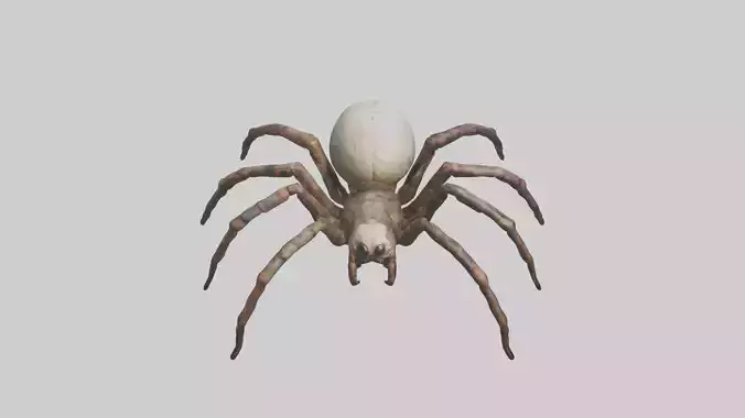 Giant Spider model Low-poly 3D model