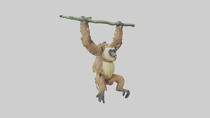 Gibbon swinging from trees model Low-poly 3D model