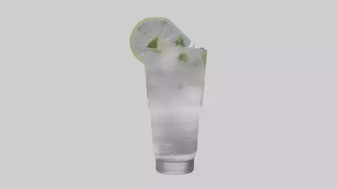 Gin and tonic model