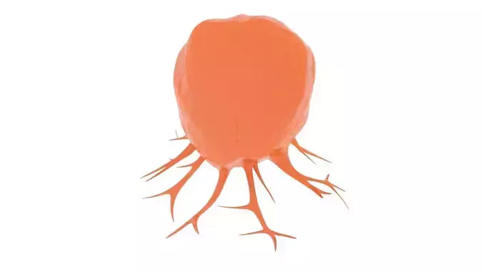Cancer Cell 3D model
