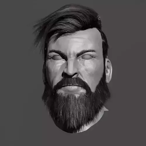 Real time Men Hairs and Beards