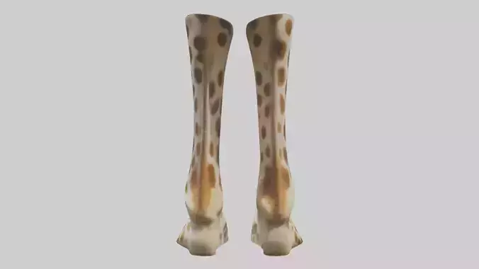 Giraffe Hooves Low-poly 3D model