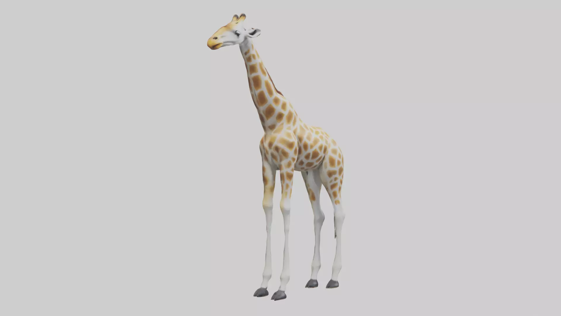 Giraffe Legs Model Low-poly 3D model_0