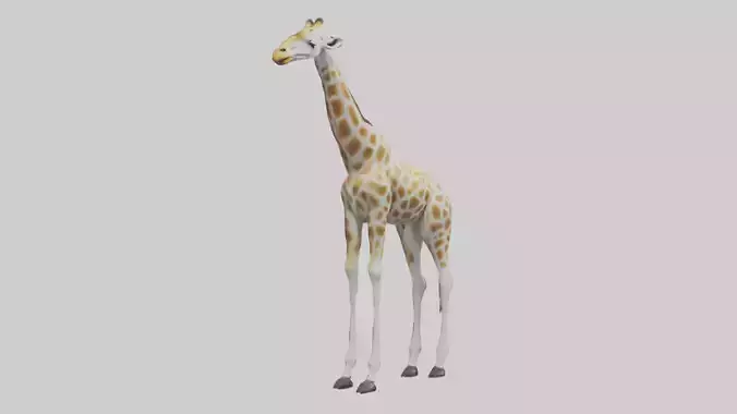 Giraffe Legs Model