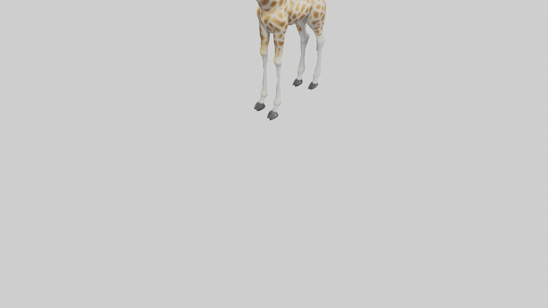 Giraffe Legs Model Low-poly 3D model_7