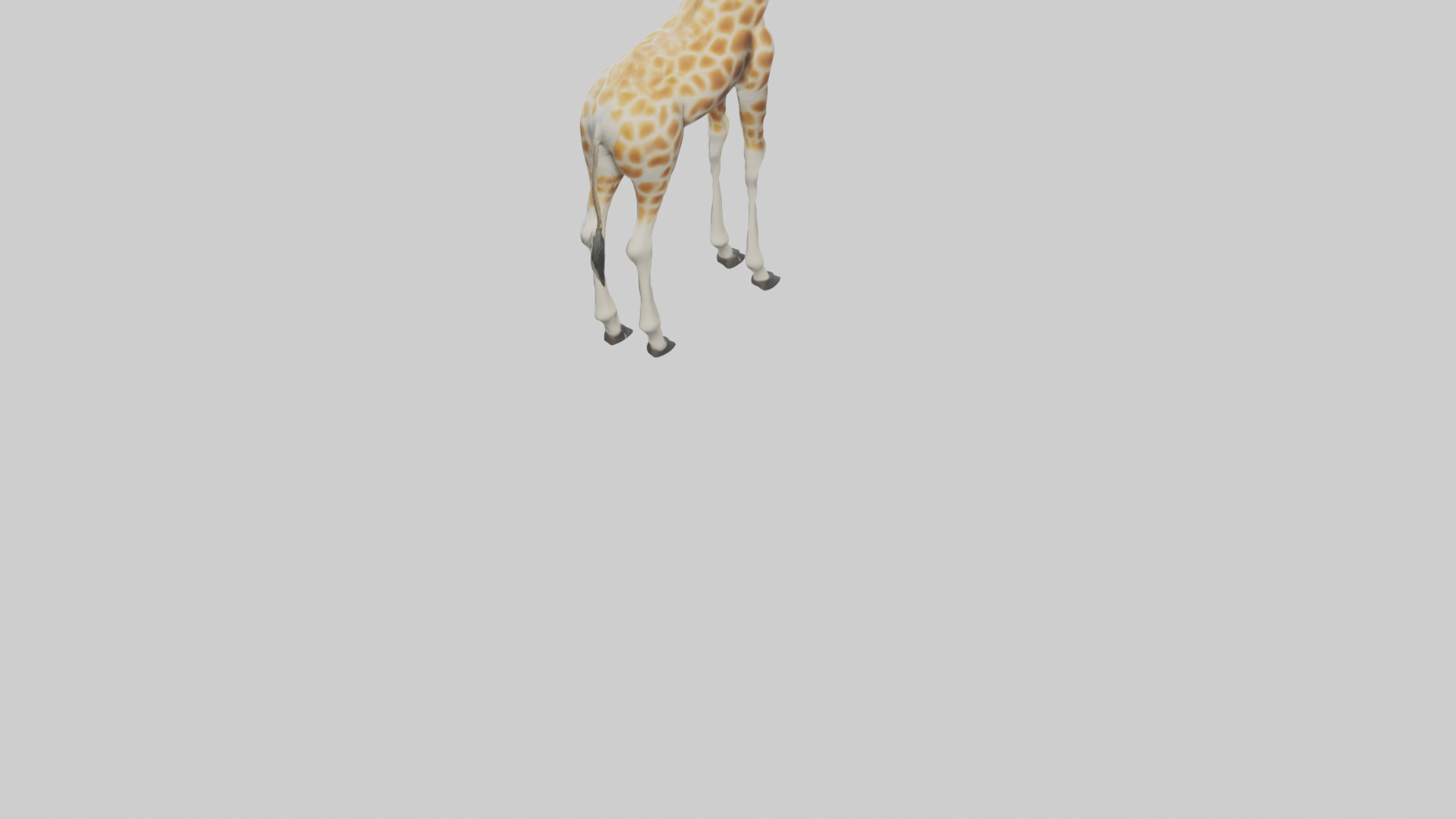 Giraffe Legs Model Low-poly 3D model_4