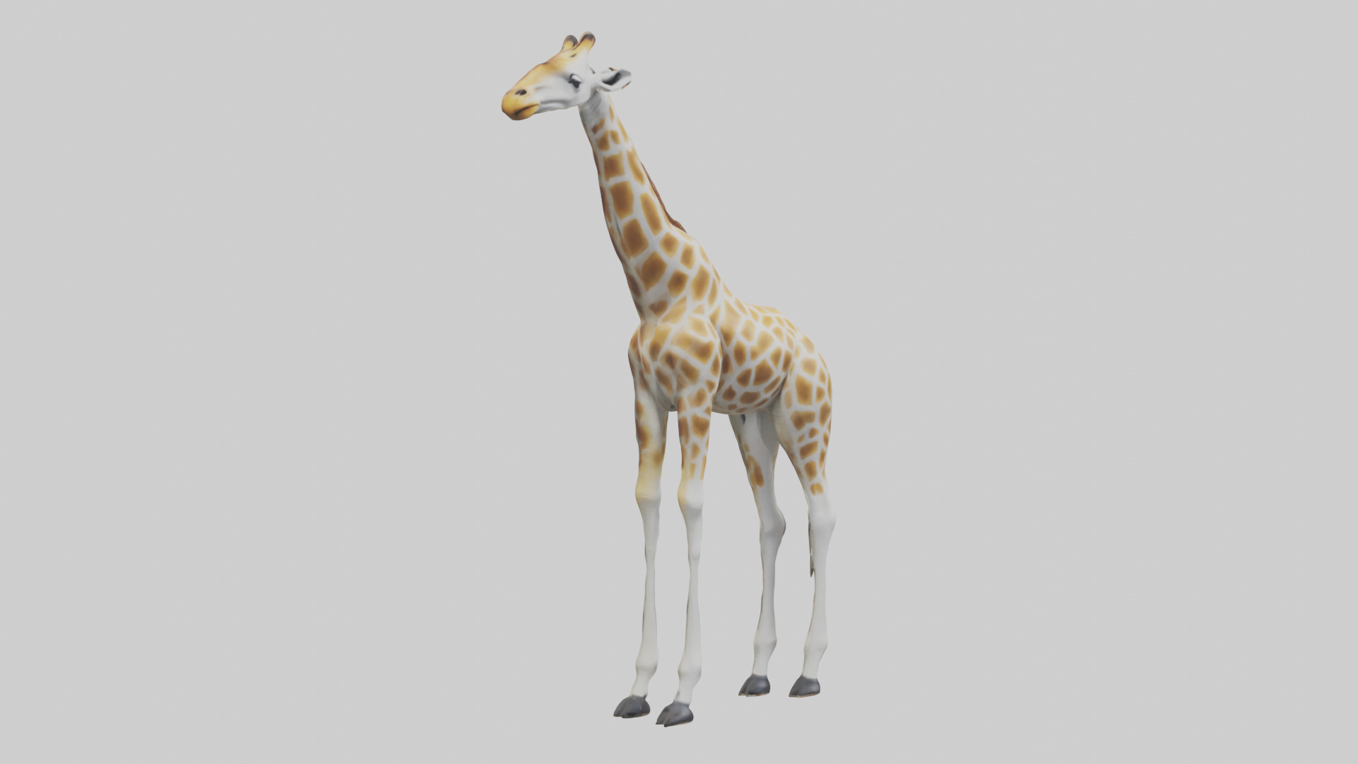 Giraffe Legs Model Low-poly 3D model_8