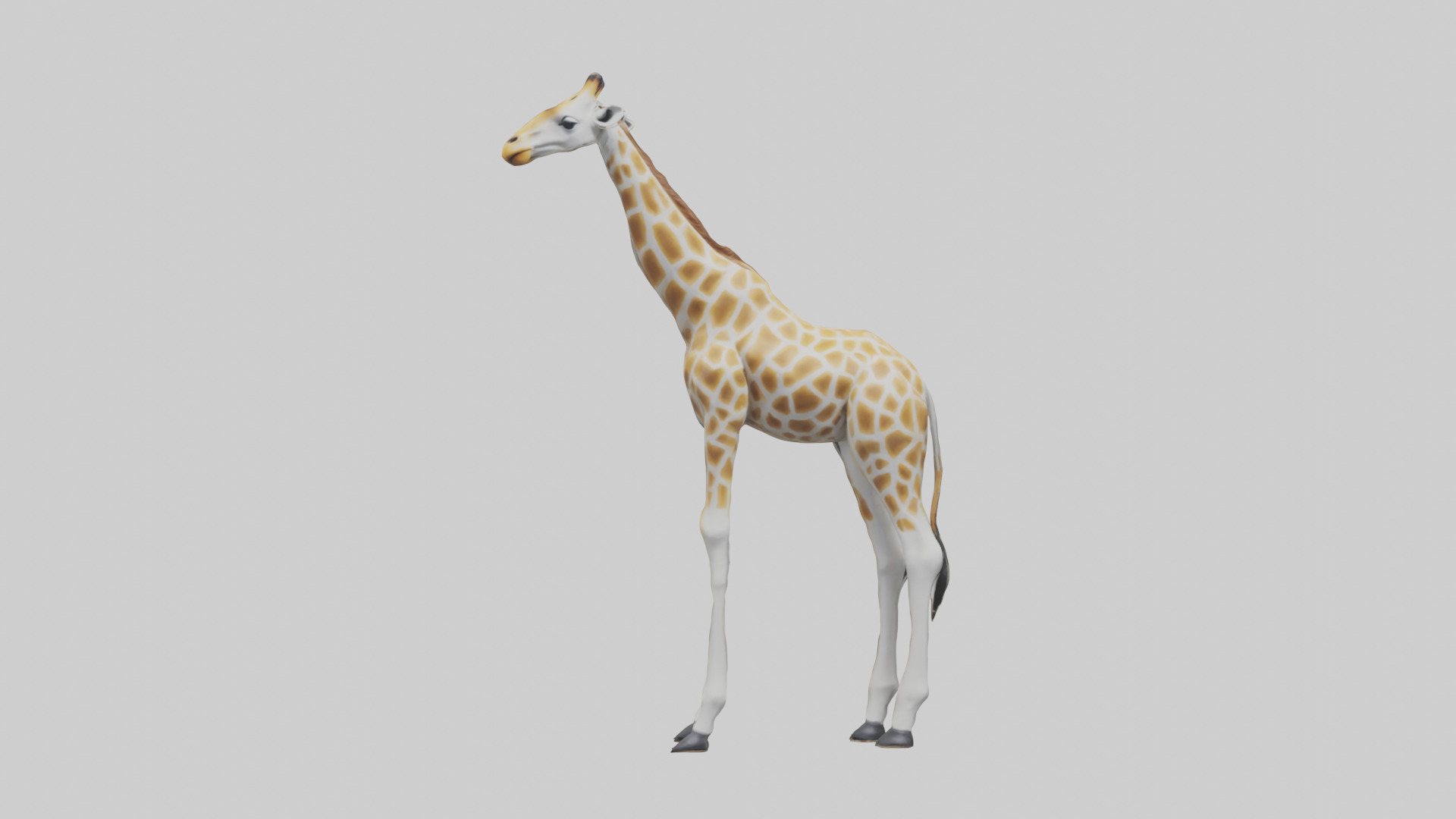 Giraffe Legs Model Low-poly 3D model_10