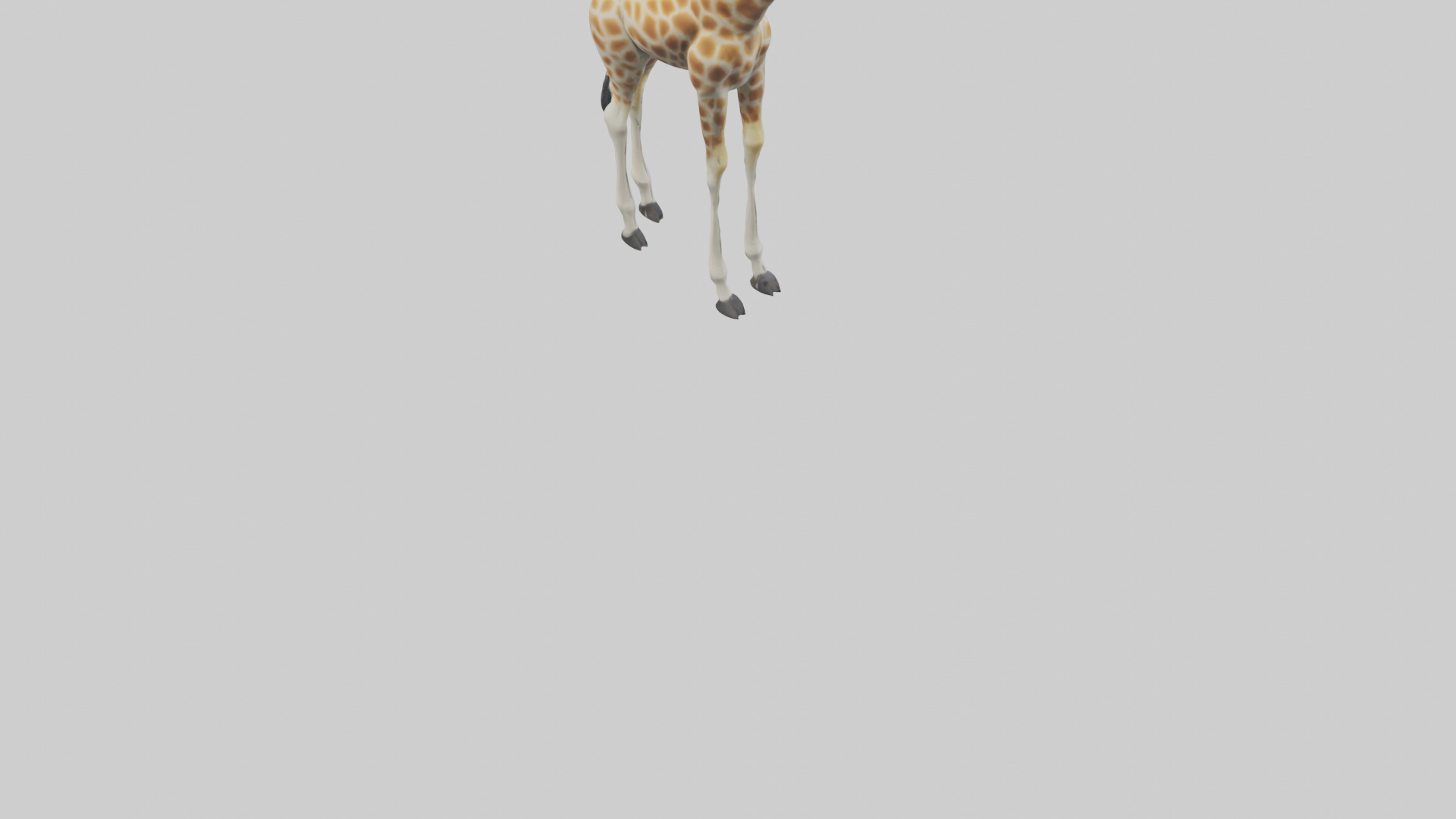 Giraffe Legs Model Low-poly 3D model_5