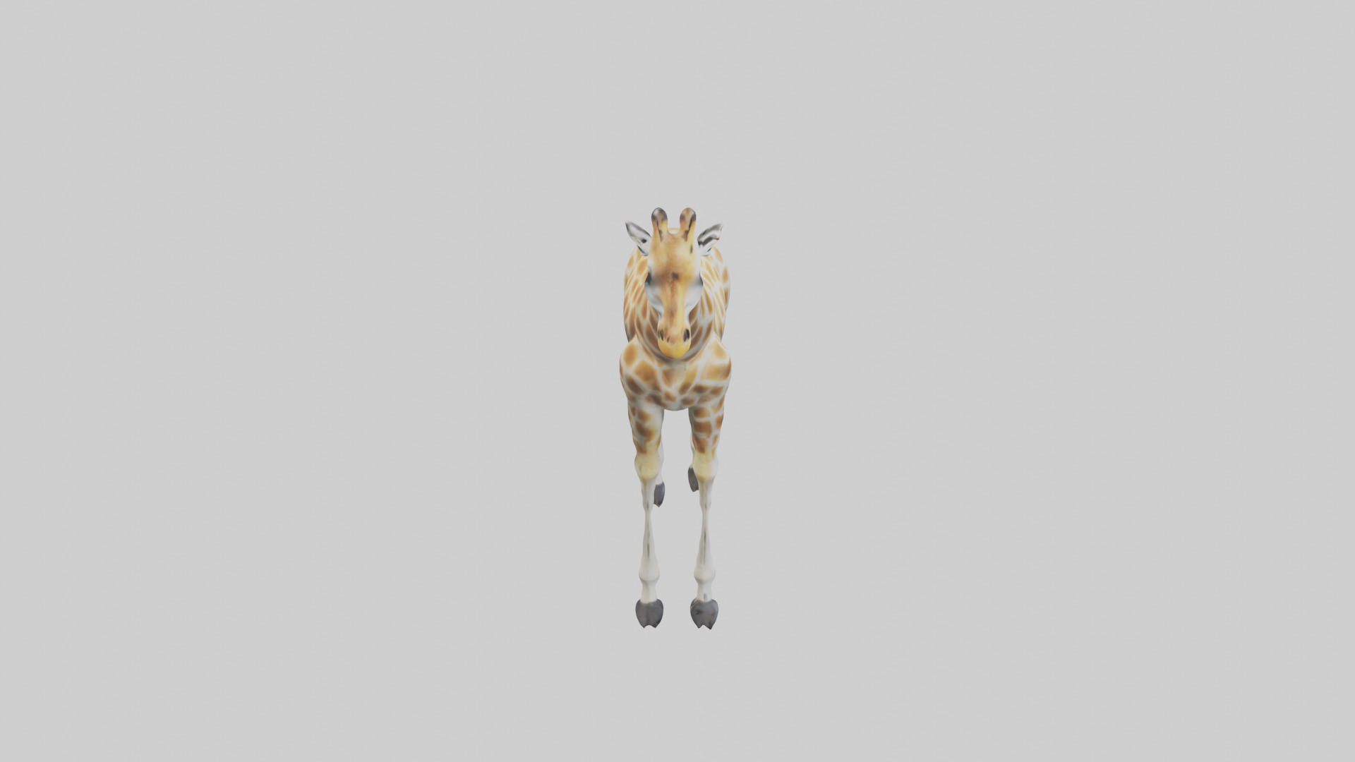 Giraffe Legs Model Low-poly 3D model_18