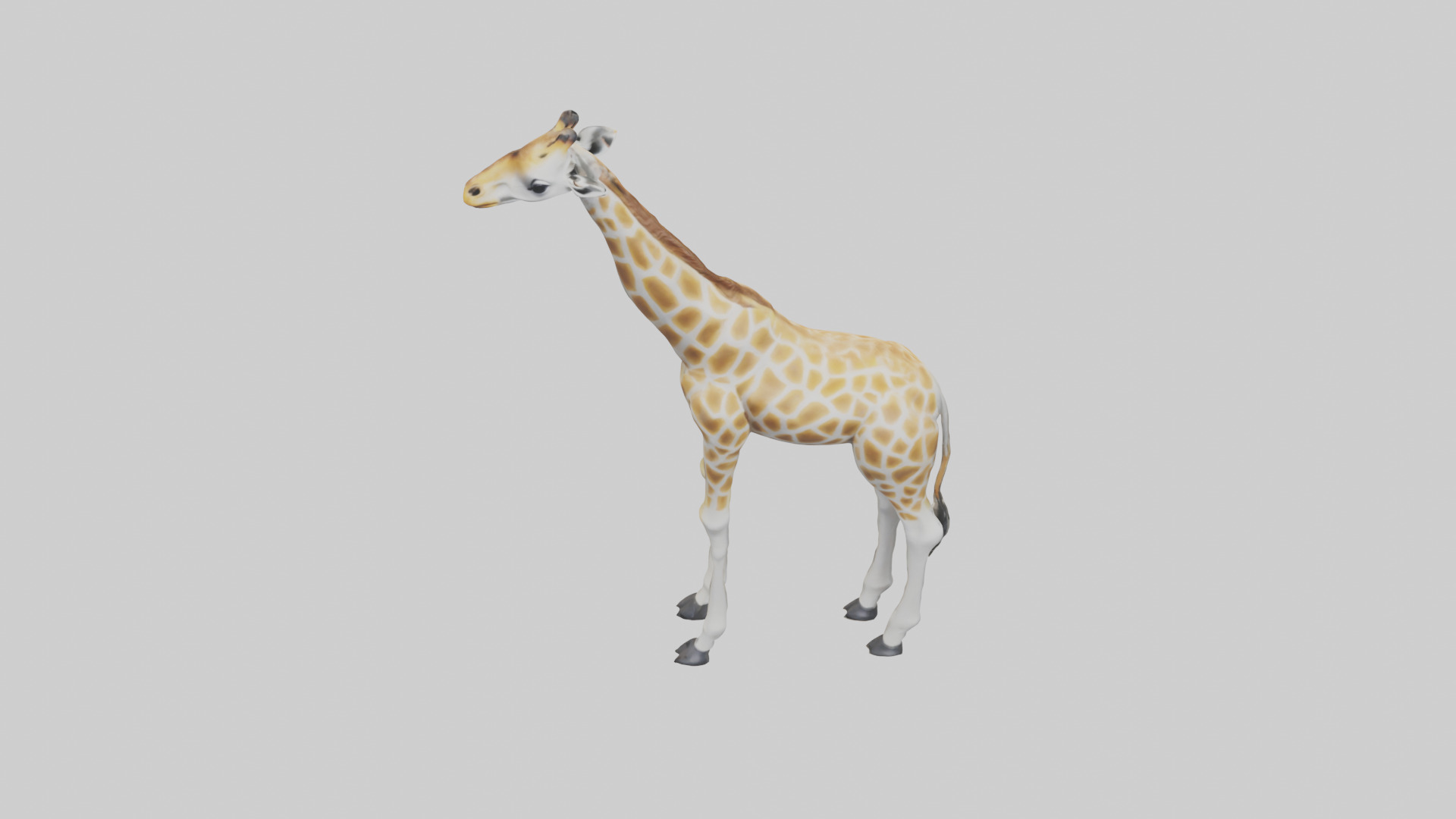 Giraffe Legs Model Low-poly 3D model_16