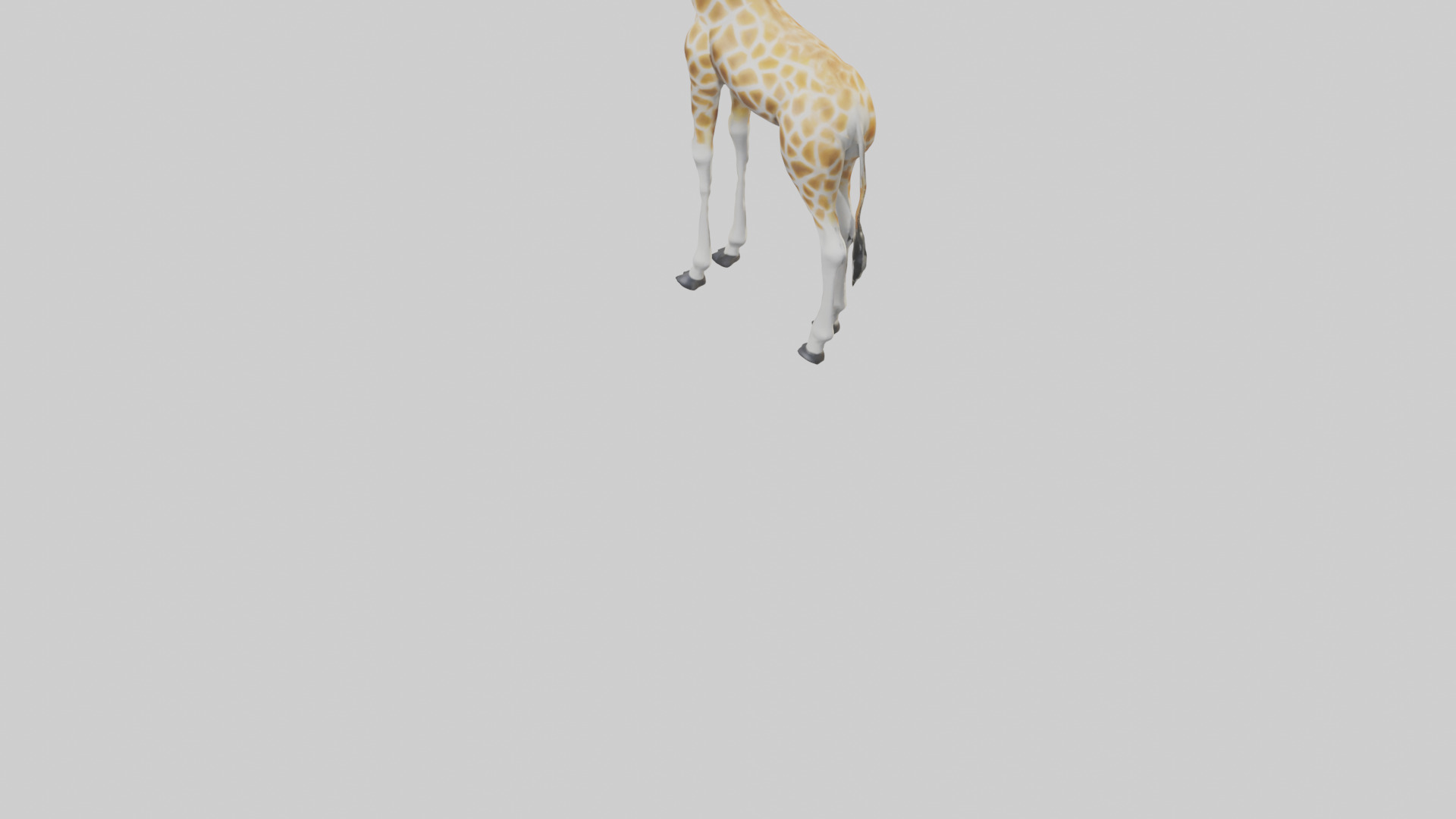 Giraffe Legs Model Low-poly 3D model_6