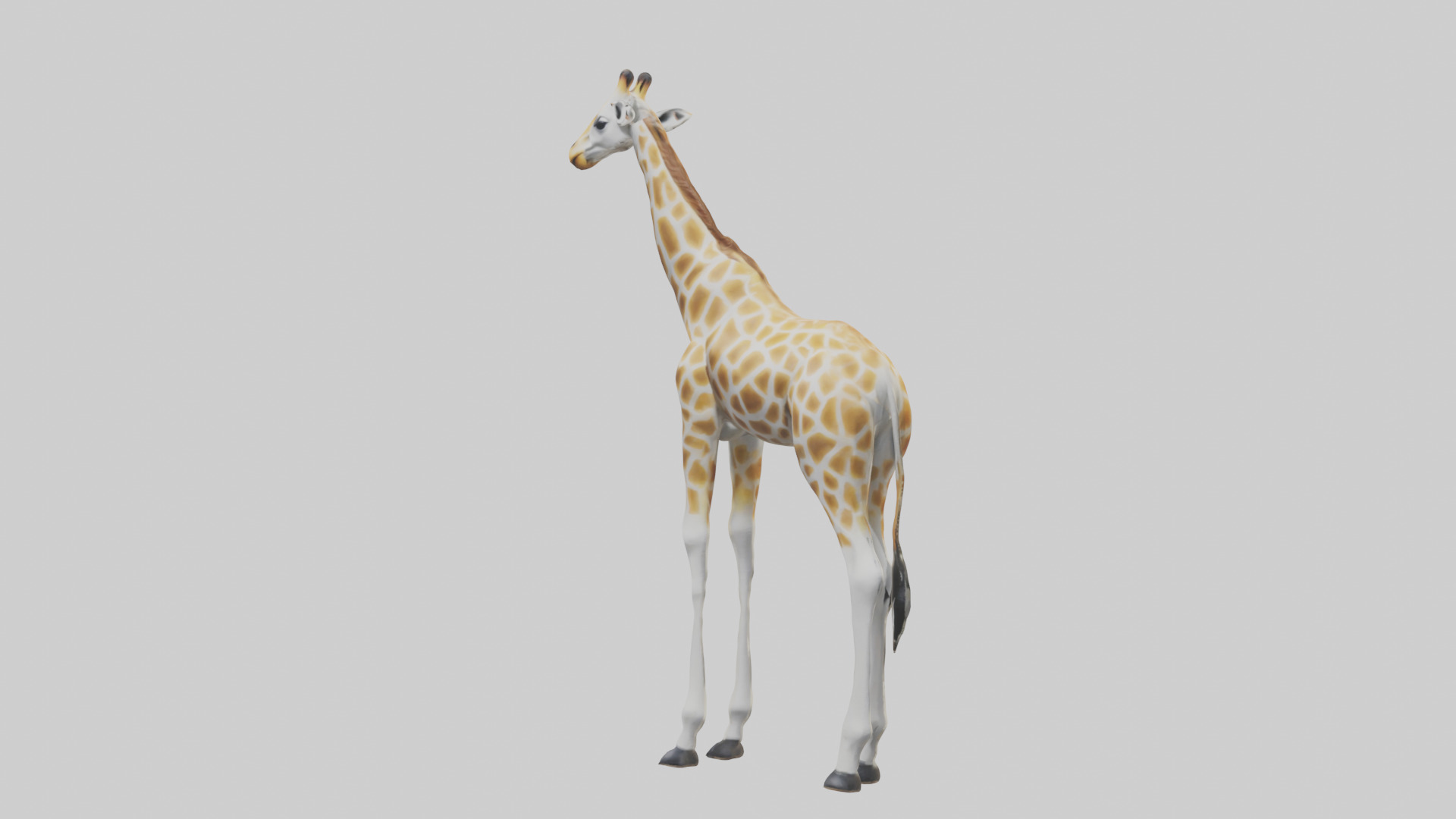 Giraffe Legs Model Low-poly 3D model_11