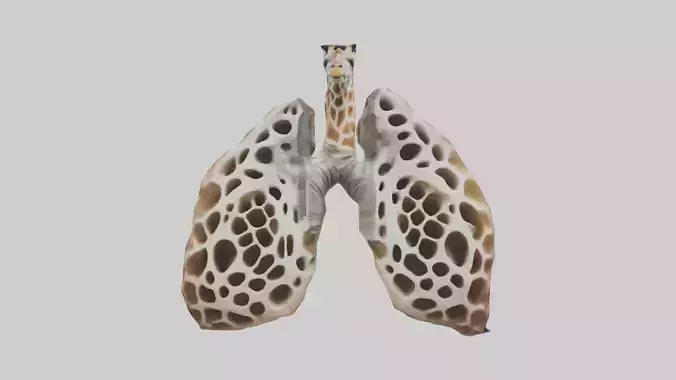 Giraffe Lungs Low-poly 3D model