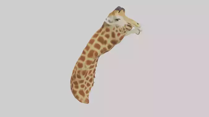 Giraffe Neck Model