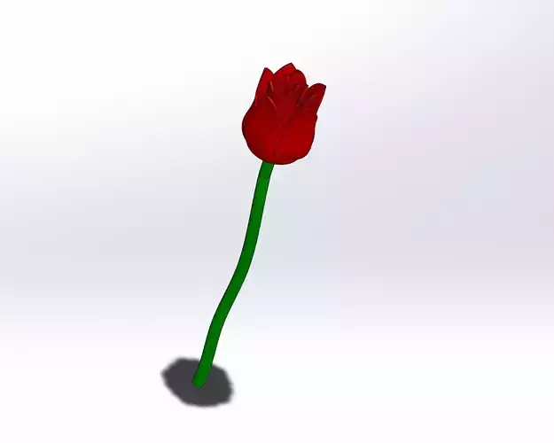 Simple Rose