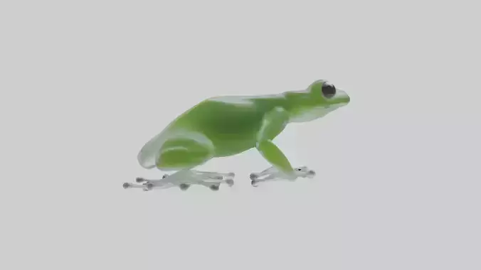 Glass Frog perched model Low-poly 3D model