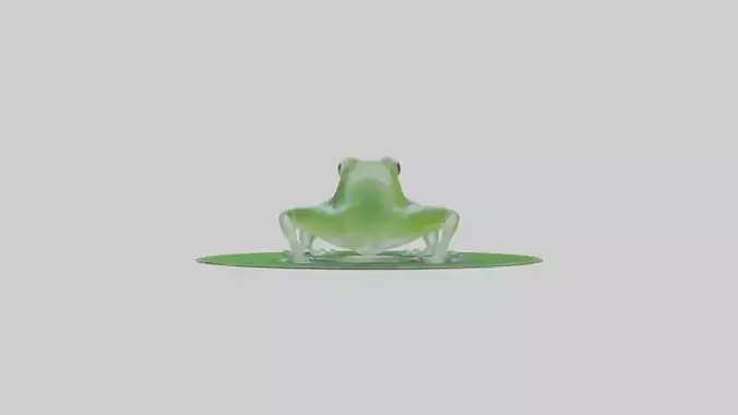 Glass Frog sitting on leaf model