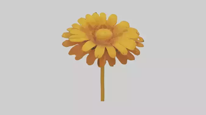 Golden Marigold model