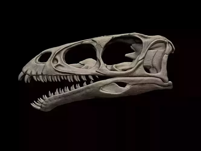Masiakasaurus Skull 3D print model