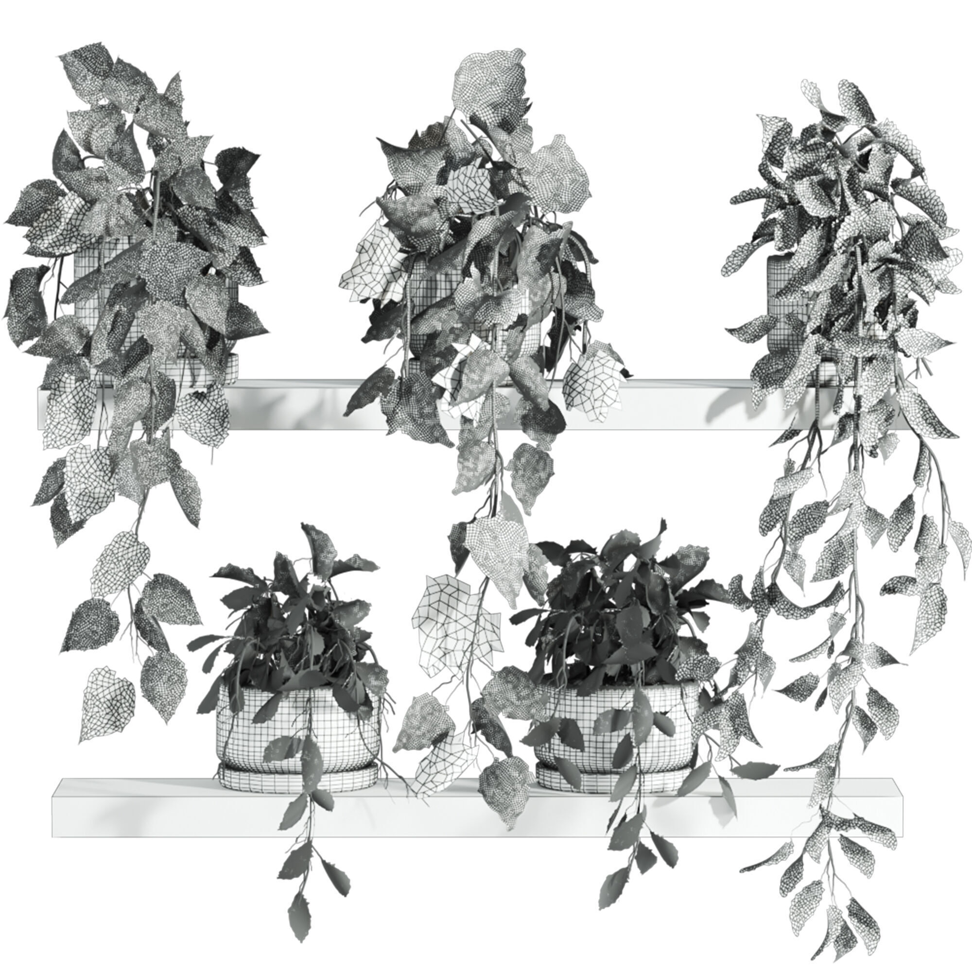 plants on shelf 3D model_1
