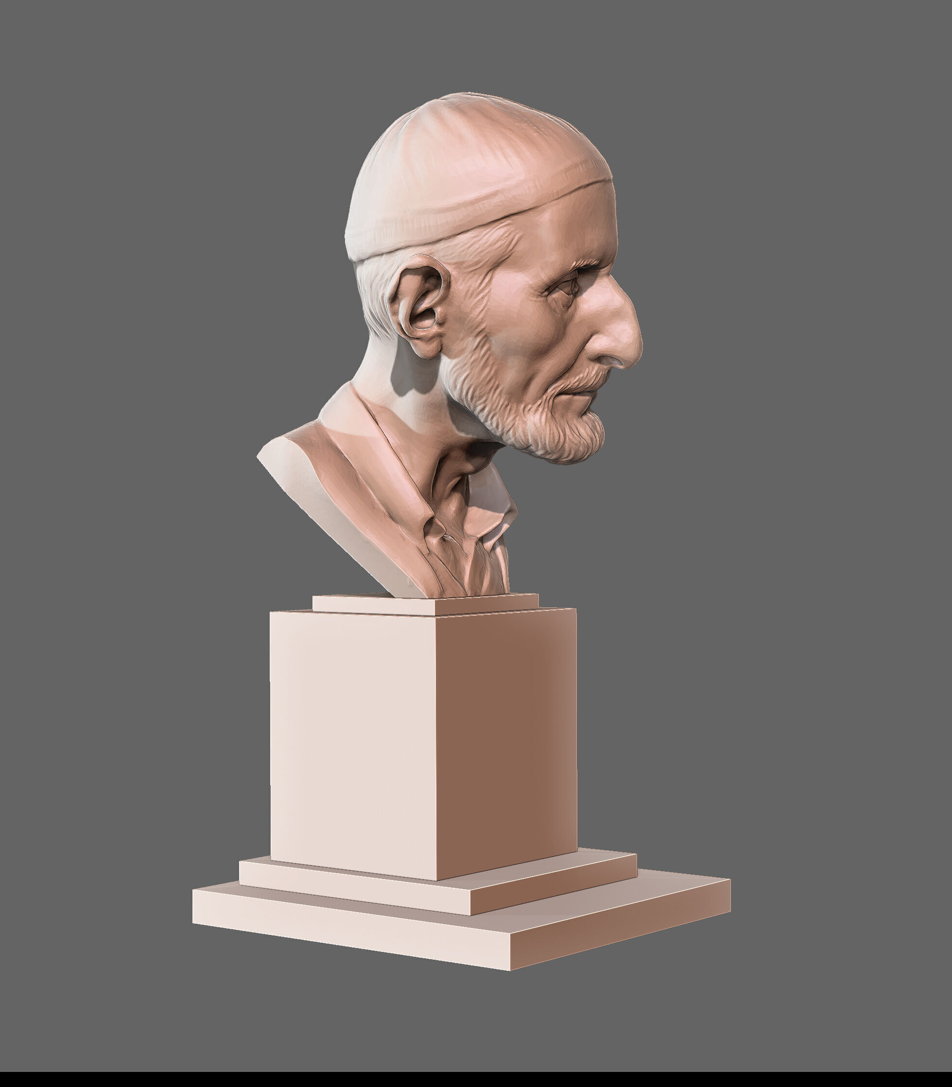 The Old Man Bust 3D print model_4