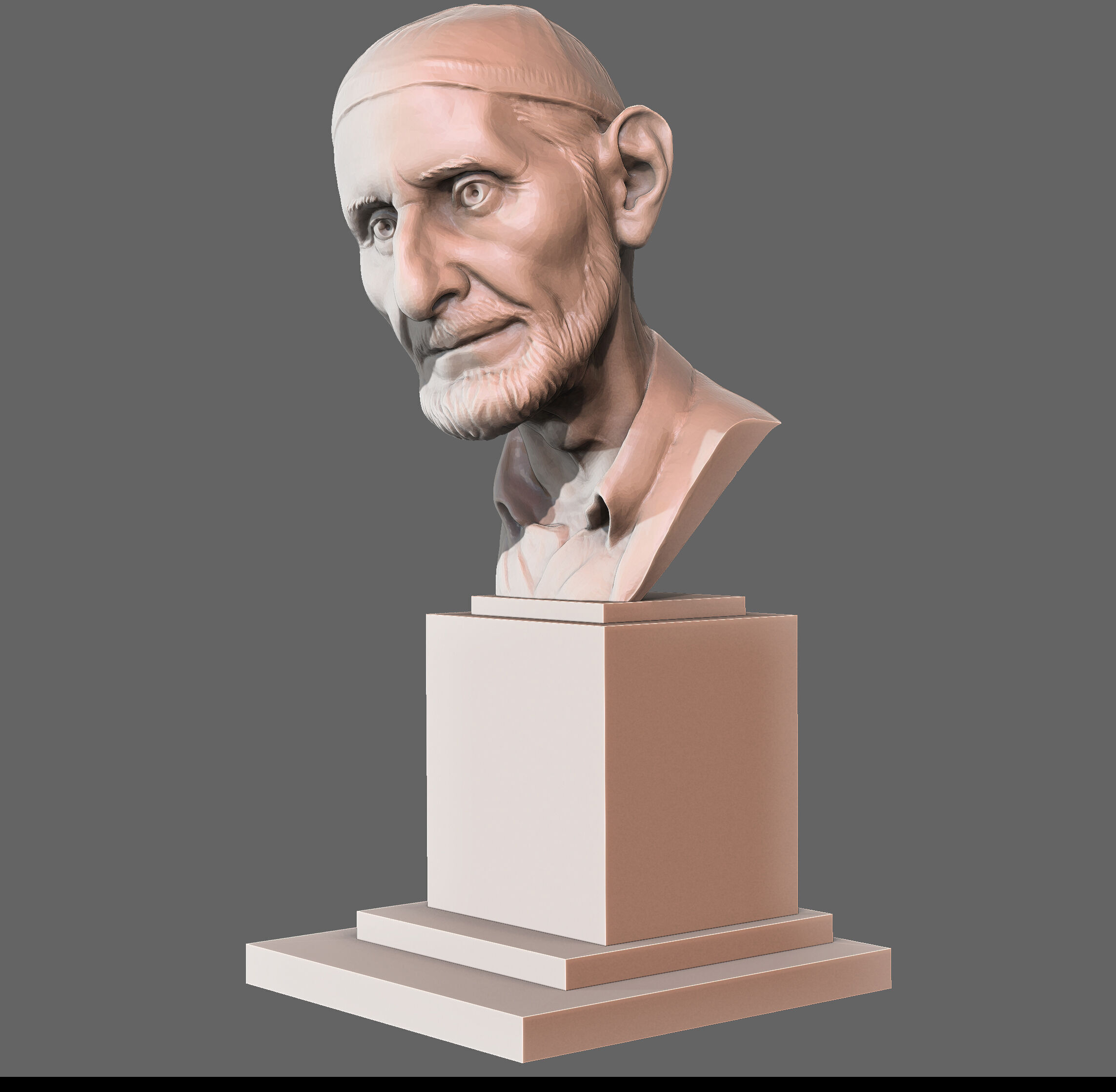The Old Man Bust 3D print model_3