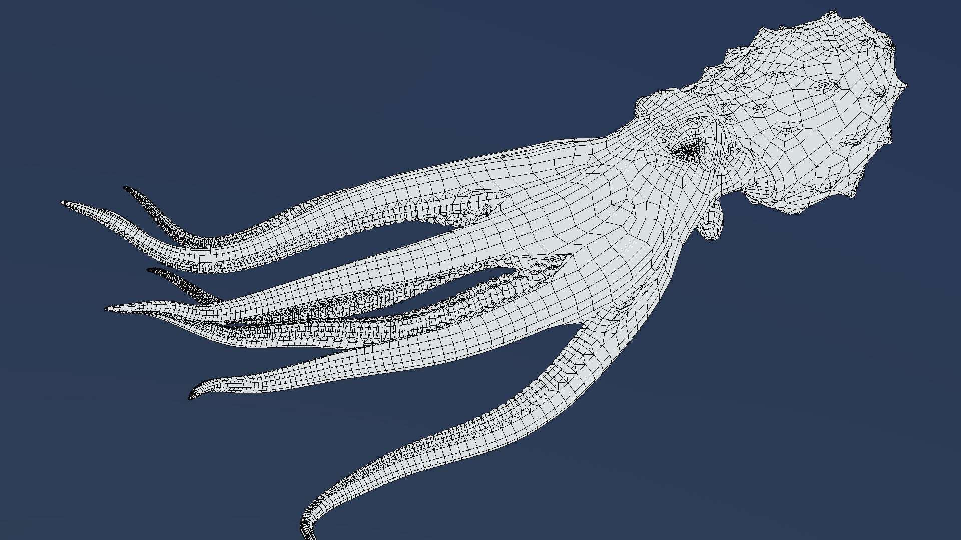 Giant Pacific Octopus 3D model_5