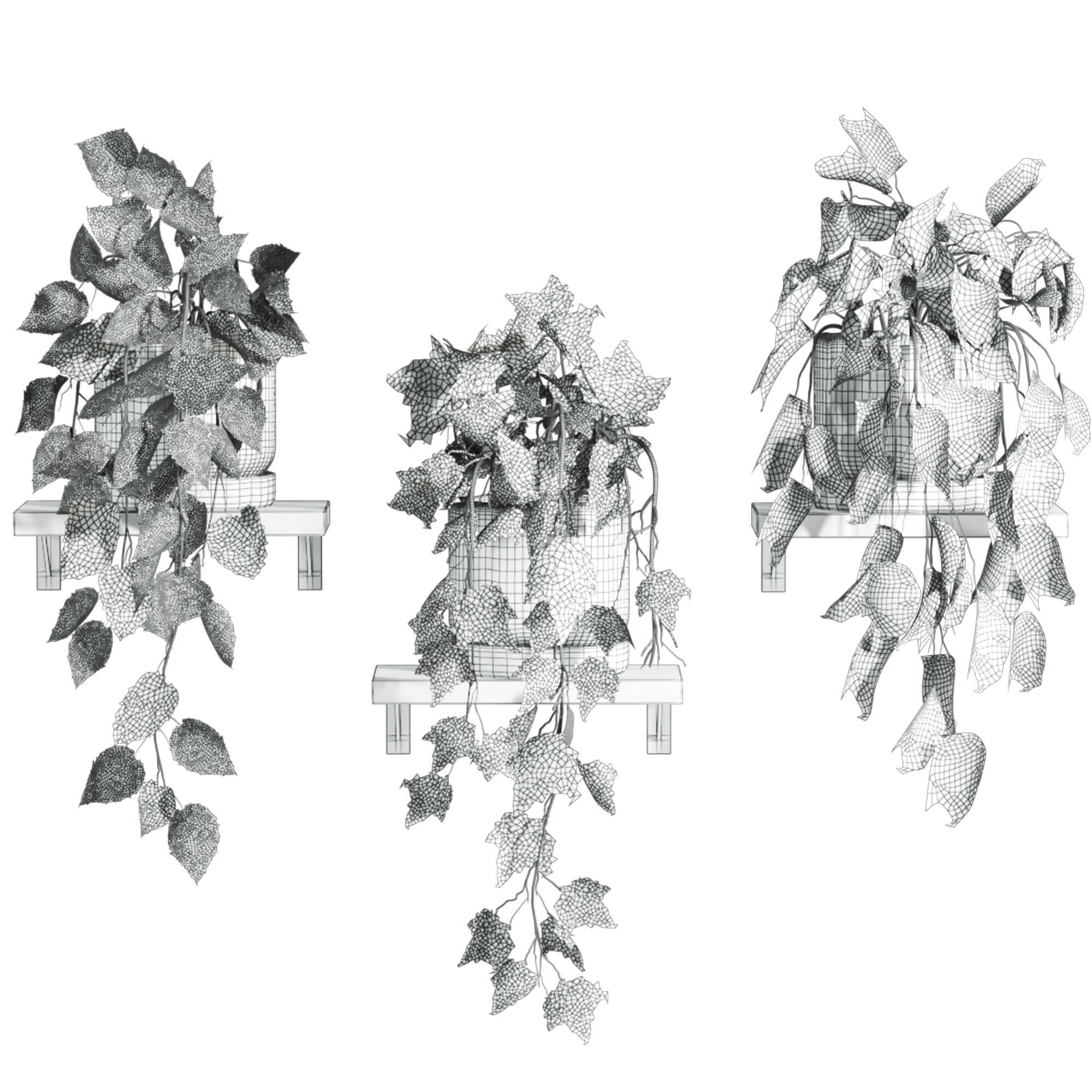 plants on shelf 3D model_4