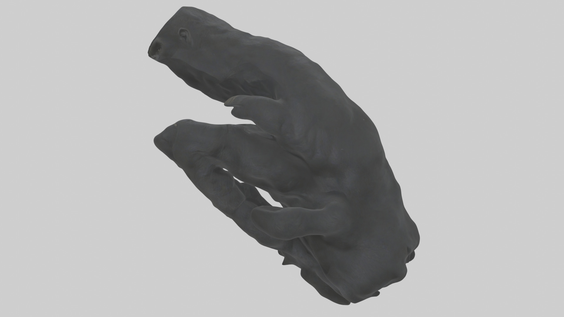 Gorilla Arms Model Low-poly 3D model_16
