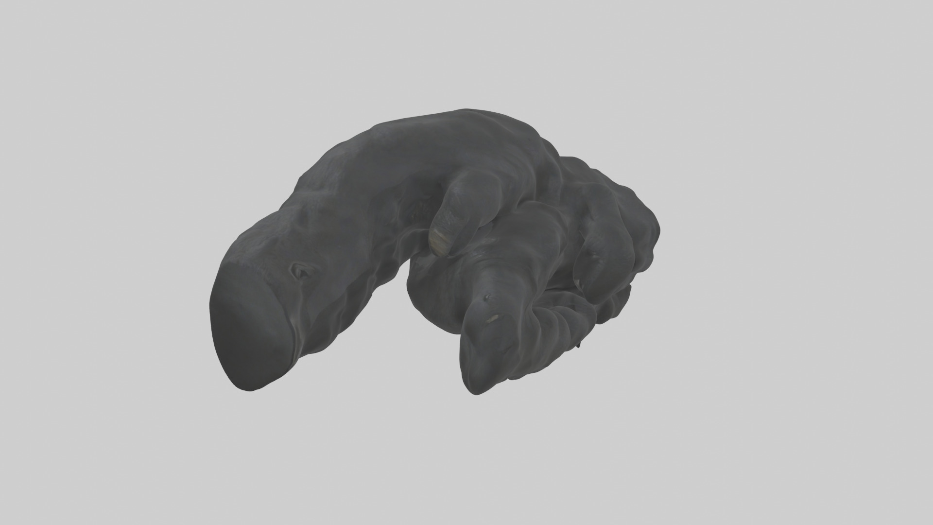 Gorilla Arms Model Low-poly 3D model_18