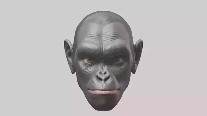 Gorilla Ears Model Low-poly 3D model