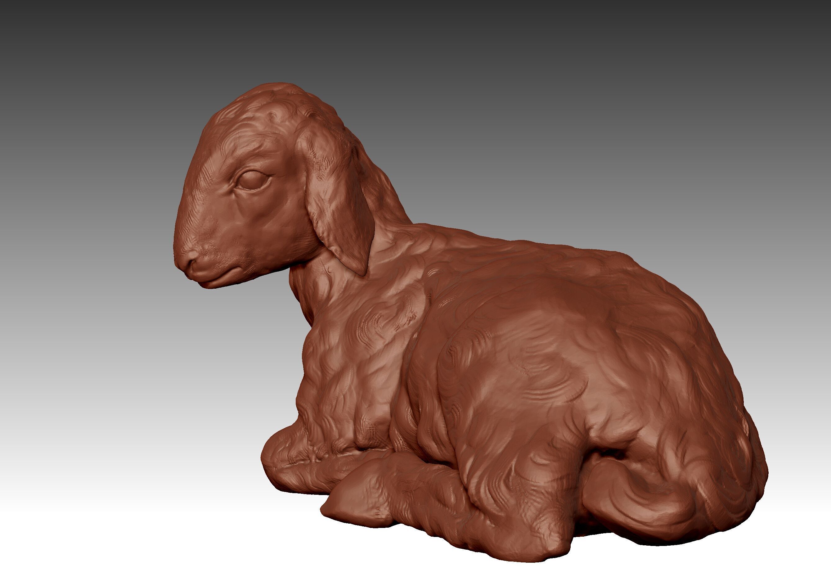 LAMB SHEEP 3D print model_1