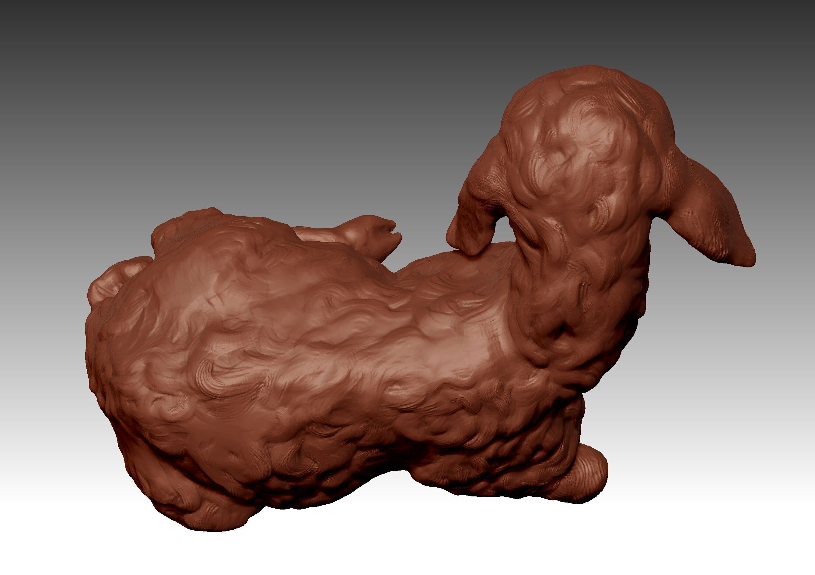 LAMB SHEEP 3D print model_3